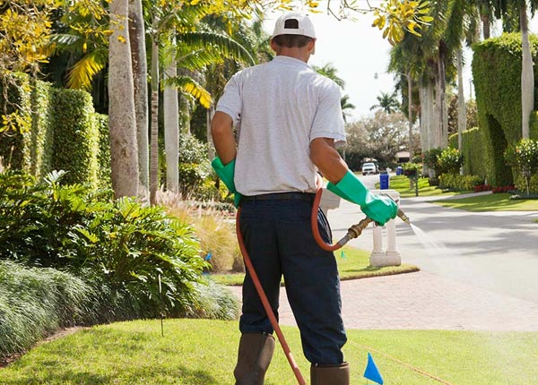 About Fayetteville PA Pest Control